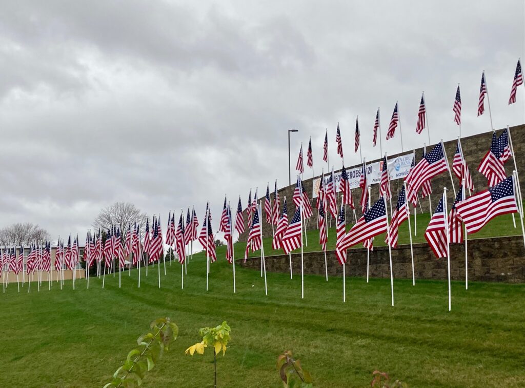 lines of flags honoring our veterans